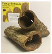 Catappa-Leaves.de Produit aquariophilie naturel Importation