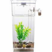 Elle - Betta Fish Tank Aquarium Bureau aquaponique