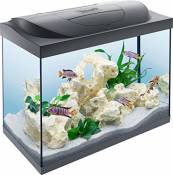 Tetra Starter Line Aquarium en kit complet avec éclairage