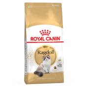2kg Ragdoll Royal Canin chat