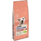 DOG CHOW Croquettes - Avec du saumon - Pour chien adulte