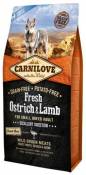 Fresh Ostr & Lamb Dige Small 1.5 Kg Carnilove