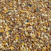 Graines Universal Aliment pour volaille 25 kg Aliment