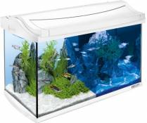 Tetra 244900 AquaArt Aquarium en kit Complet avec LED