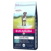 3kg Grain Free Adult Large Breed saumon Eukanuba - Croquettes pour chien
