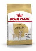 Chihuahua Adult pour Chiens Adultes de Race 3 Kg Royal