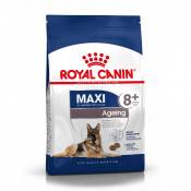 Royal Canin Maxi Ageing 8+ - Croquettes pour chien-Maxi