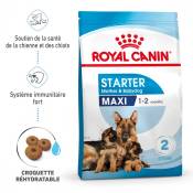 ROYAL CANIN Starter Maxi Mother & Babydog - Croquettes