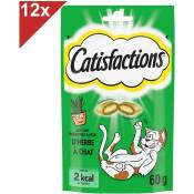 Catisfactions - Friandises saveur d'herbe à chat pour chats adultes 12x60g