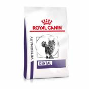 Nourriture Feline Dental 3 Kg Royal Canin