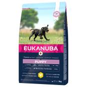 2x3kg Eukanuba Puppy Large Breed poulet - Croquettes