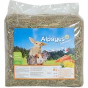 Animallparadise - Foin alpage, carotte et pissenlit, 1 kg, pour rongeur. Multicolor