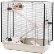 Little Friends Grosvenor Cage à Rat et Hamster avec étagère en Bois et échelle