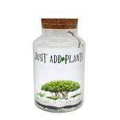 Terrarium à plantes pour vos propres plantes"Just Add Plants"