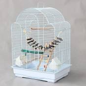 Liuyu · Maison de la Vie Parrot Birdcage Cage d'élevage