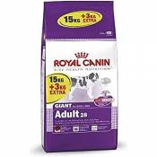 Royal Canin - Giant Adult - Nourriture pour chien -