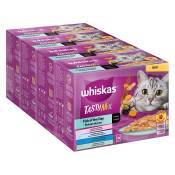 96x85g Multipack Whiskas Tasty Mix Poisson du jour en sauce - Pâtée pour chat