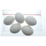 Animallparadise - 5 œufs artificiel en plastique pour oiseaux Calopsitte , inséparables, agapornis Blanc