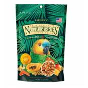 Alimentation pour oiseaux nutri berries fruits tropical indiquée pour perroquets 284 gr