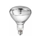 Kerbl - Lampe ir Philips 250W 240v blanche,verre renforcé