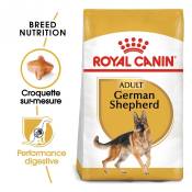 Royal Canin Berger Allemand Adult (German Shepherd)