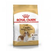 Royal Canin Cavalier King Charles Adult - Croquettes