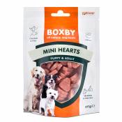 100g Friandises Boxby Puppy Mini Hearts - Friandises