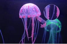 Domire Méduse artificielle phosphorescente pour décorer