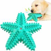 Jouets pour chiens pour mâcheurs agressifs, jouet de brosse à dents de nettoyage de dentition de chien, jouets interactifs durables de chiot d'étoile