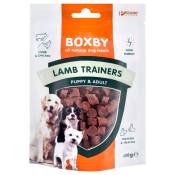 100g Lamb Trainers Boxby Friandises pour chien