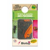biotop - 30 larves coccinelles anti-pucerons - coccilaure