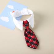 Ensoleille - Cravates pour animaux de compagnie, cravates