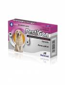 Pipettes Pestigon pour chiens de 20-40 Kg 4 Pipettes