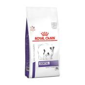 Royal Canin Veterinary Dental Small Dog-Dental Special