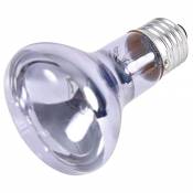 Trixie Lampe Spot Néodyme 63 × 100 mm 75 W