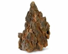 AQUA DELLA Décor Dragon Rock 5 - 25x16x38cm - Pour
