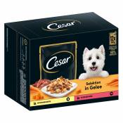 Nourriture humide Cesar pour chien : 15 % de remise