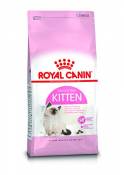 Royal Canin - Croquettes Chatons - Kitten 36 - 2 Kg
