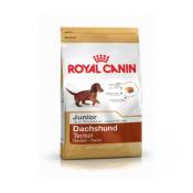 Croquettes pour chien teckel royal canin breed nutrition
