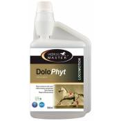 Dolo Phyt Supplément naturel pour chevaux idéal pour les douleurs articulaires, tendineuses et musculaires 450 ml