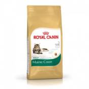 Croquettes royal canin maine coon 31 sac 10 kg