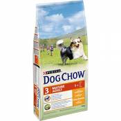 DOG CHOW Chien Mature Adult Croquettes avec du Poulet