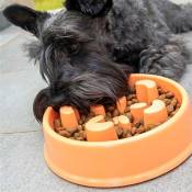 Gamelle pour chien anti glouton alimentation lente