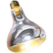 Lampe Chauffante 250W Sl250E
