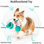 Multifunction Pet Molar Bite Toy, Jouet de Morsure d'animal familier Multifonctionnel, Jouets à macher d'animal familier interactif de Jouet de Chien