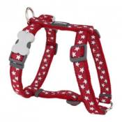 Red dingo - harnais design pour chien - rouge étoiles blanches - l