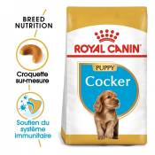 Royal Canin Cocker Puppy-Cocker junior