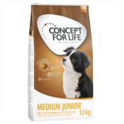 12kg Medium Junior Concept for Life - Croquettes pour chien