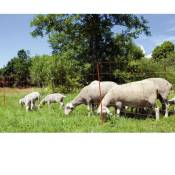 Kerbl - filet mouton ovinet 90cm, 1 pointe, orange,