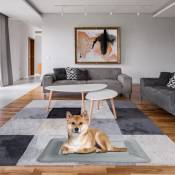 Tapis pour chiens Lit pour chien Tapis pour chien Couverture couchée Coussin pour chien Chats Tapis 88x58cm - Gris
